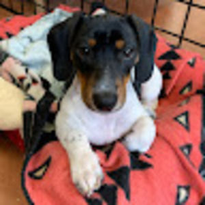 Meet your Posher, Winter